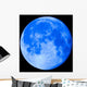 Blue Moon 22 Wall Mural