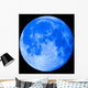 Blue Moon 22 Wall Mural