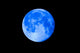 Blue Moon 22 Wall Mural