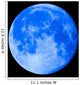 Blue Moon 22 Wall Mural