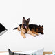 Two german shepherds on a white background. Wall Decal