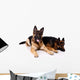 Two german shepherds on a white background. Wall Decal