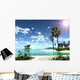 South Ideal Cg Illustrator Wall Decal