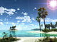 South Ideal Cg Illustrator Wall Decal