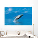 Humpback Whale Breaching Wall Decal