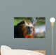 Lion Tamarin Wall Mural