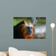 Lion Tamarin Wall Mural
