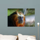 Lion Tamarin Wall Mural