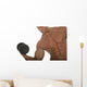 Body Builder Wall Mural
