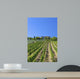 Tuscan Vineyard With a Tuscan Villa Wall Mural
