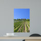 Tuscan Vineyard With a Tuscan Villa Wall Mural