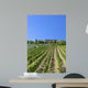 Tuscan Vineyard With a Tuscan Villa Wall Mural