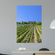 Tuscan Vineyard With a Tuscan Villa Wall Mural