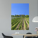 Tuscan Vineyard With a Tuscan Villa Wall Mural