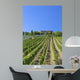 Tuscan Vineyard With a Tuscan Villa Wall Mural