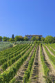 Tuscan Vineyard With a Tuscan Villa Wall Mural