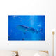 Whale Shark Swimming Wall Decal