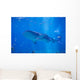 Whale Shark Swimming Wall Decal