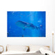 Whale Shark Swimming Wall Decal
