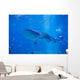 Whale Shark Swimming Wall Decal