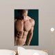 body builder abs Wall Mural