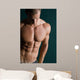 body builder abs Wall Mural