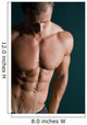 body builder abs Wall Mural