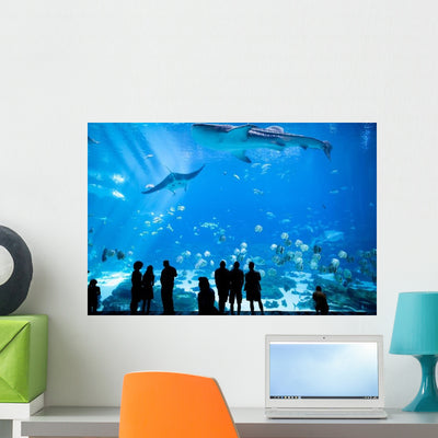 Aquarium Atlanta Georgia Wall Decal shown on a wall