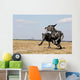 2 Great Danes Running Wall Mural
