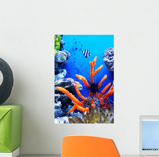 Underwater Life Wall Mural