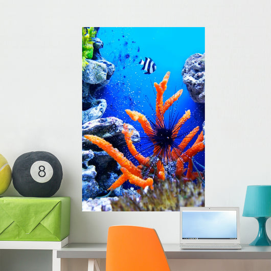 Underwater Life Wall Mural