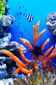 Underwater Life Wall Mural