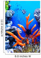 Underwater Life Wall Mural