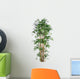 Bamboo Wall Decal