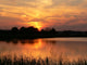 red sunset by the lake Wall Mural