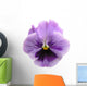 Lavender Pansy Wall Mural