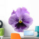 Lavender Pansy Wall Mural