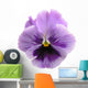 Lavender Pansy Wall Mural