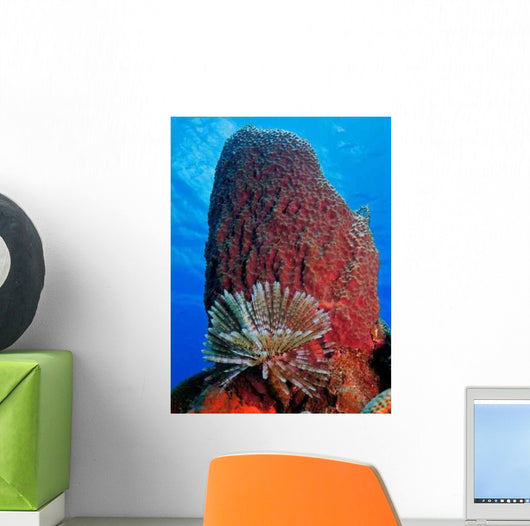 Barrel Sponge Wall Decal