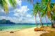 Tropical Beach Wall Mural