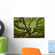 Under Canopy Angel Oak Wall Decal