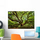 Under Canopy Angel Oak Wall Decal