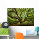 Under Canopy Angel Oak Wall Decal