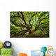Under Canopy Angel Oak Wall Decal