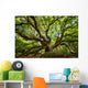 Under Canopy Angel Oak Wall Decal