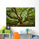 Under Canopy Angel Oak Wall Decal