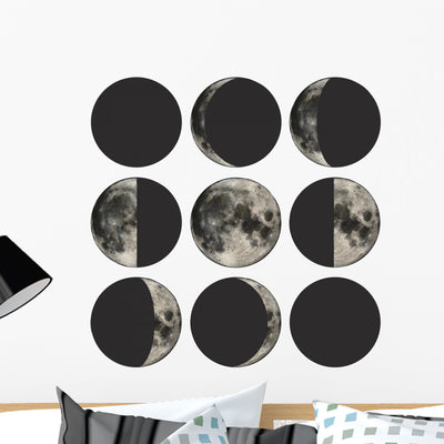 Scientific Phases Moon Wall Stickers shown on a wall
