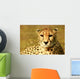 Animal Wall Mural