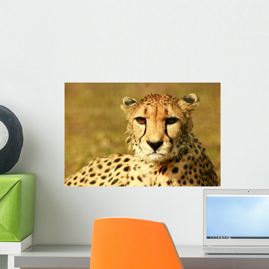 Animal Wall Mural