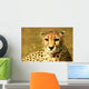 Animal Wall Mural